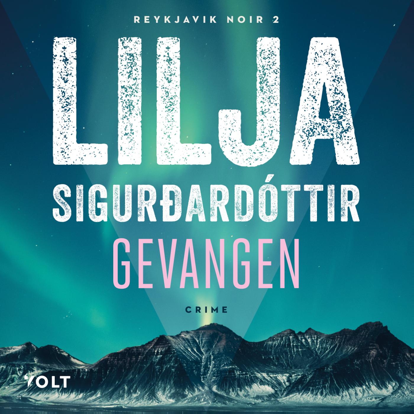 Omslag van Gevangen