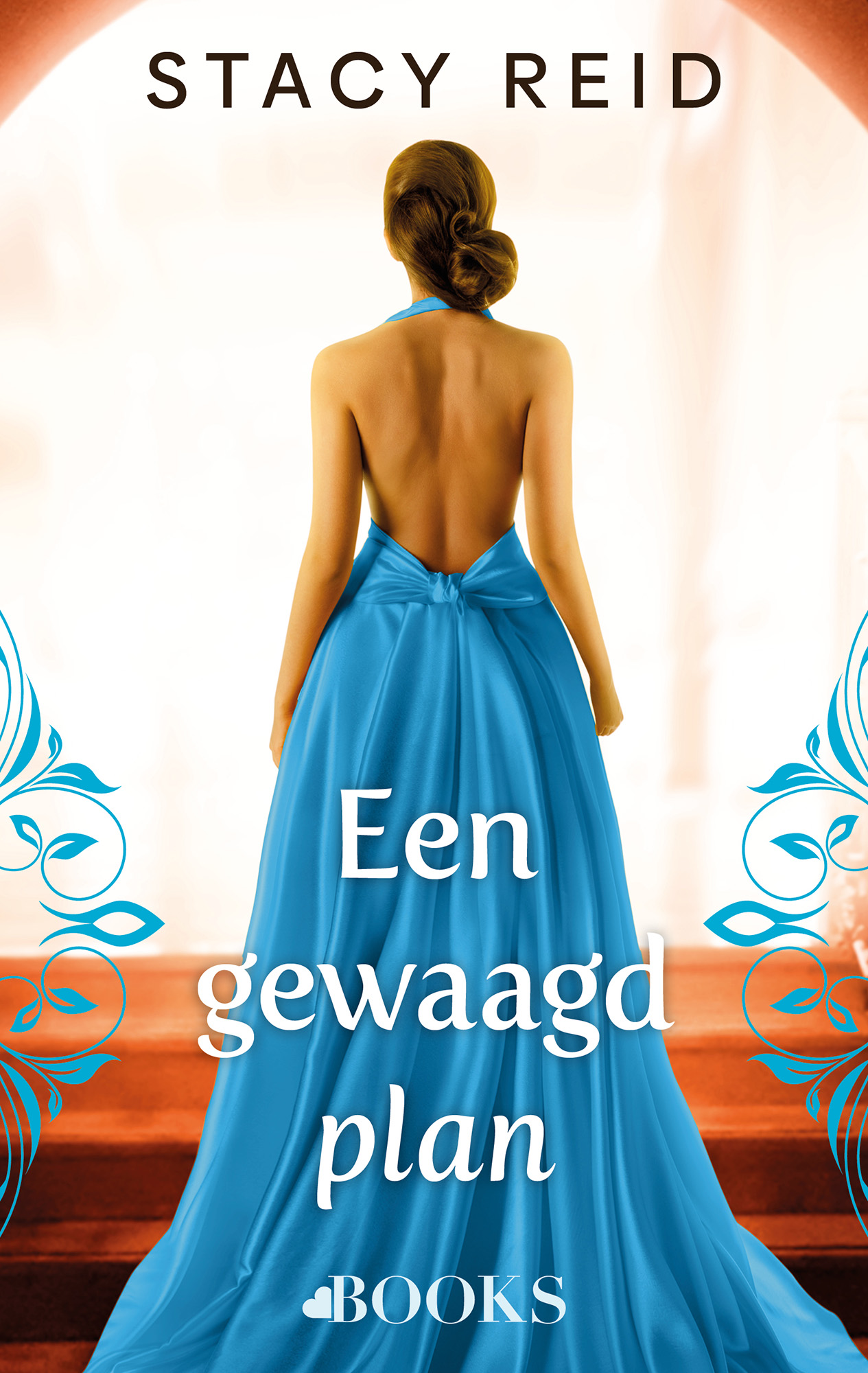 Omslag van Een gewaagd plan