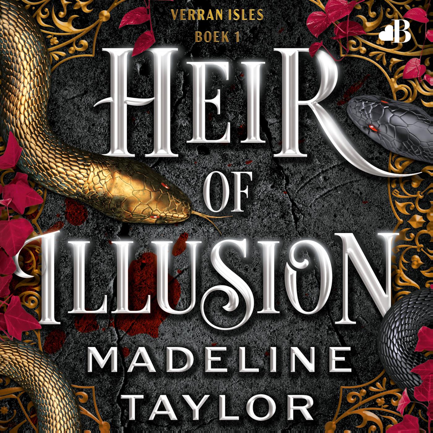 Omslag van Heir of illusion