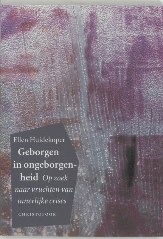 Omslag van Geborgen in ongeborgenheid