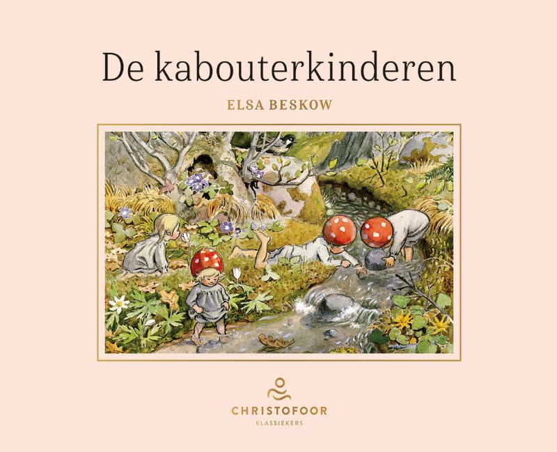 Omslag van De kabouterkinderen