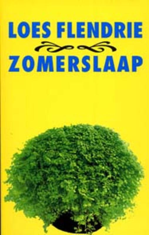 Omslag van Zomerslaap