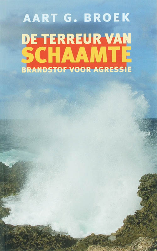 Omslag van De terreur van schaamte