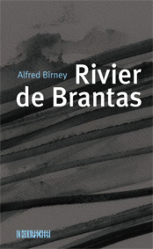 Omslag van Rivier de Brantas