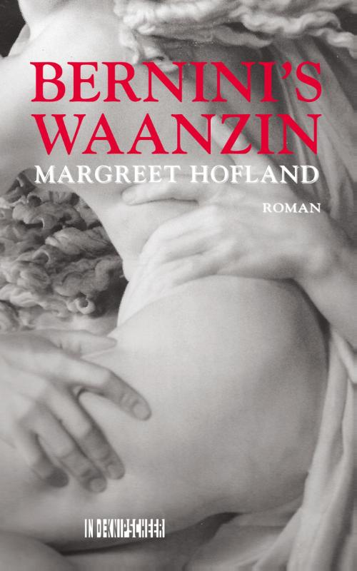 Omslag van Bernini's waanzin