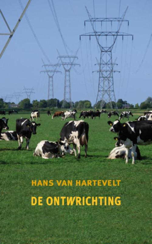 Omslag van De ontwrichting