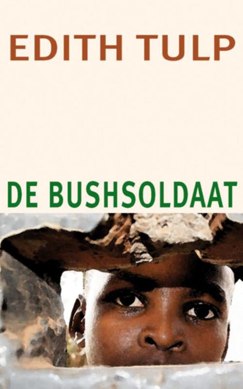Omslag van De bushsoldaat