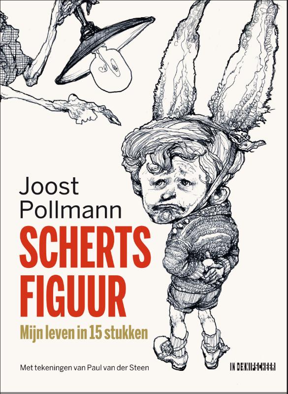 Omslag van Schertsfiguur