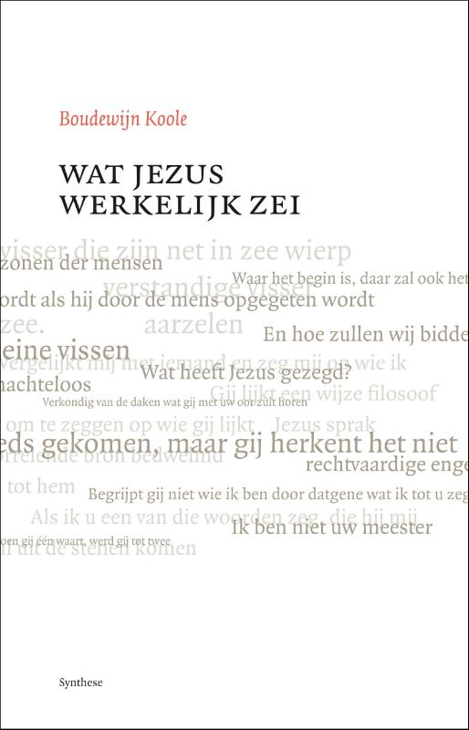 Omslag van Wat Jezus werkelijk zei