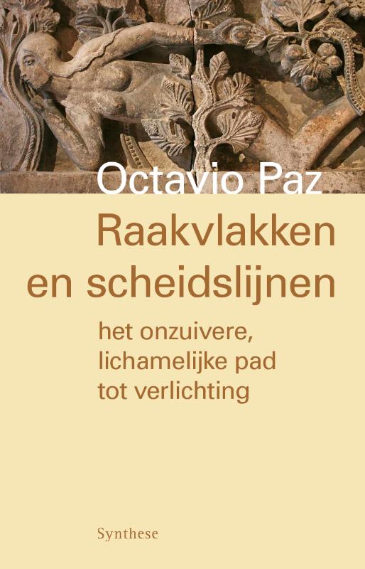 Omslag van Raakvlakken en scheidslijnen