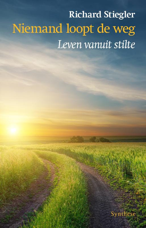 Omslag van Niemand loopt de weg