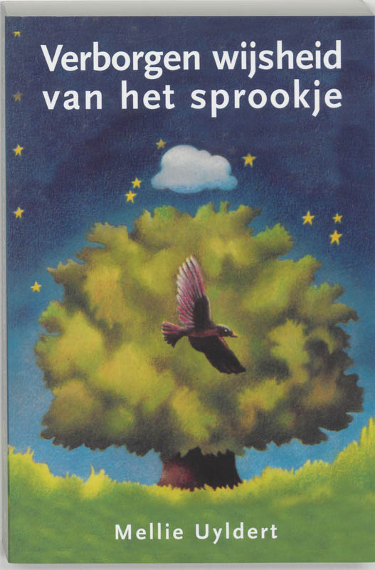 Omslag van Verborgen wijsheid van het sprookje
