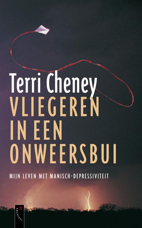 Omslag van Vliegeren in een onweersbui