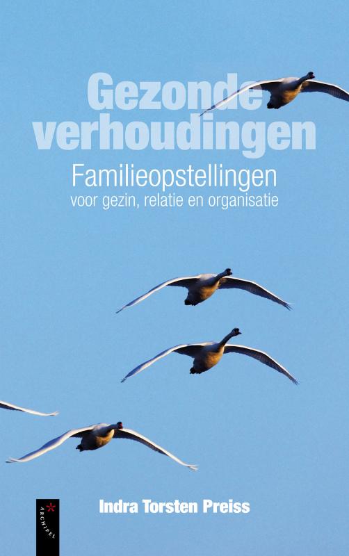 Omslag van Gezonde verhoudingen