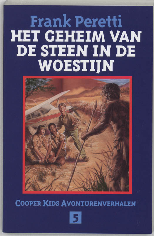 Omslag van Het geheim van de steen in de woestijn