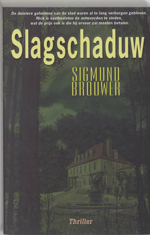 Omslag van Slagschaduw