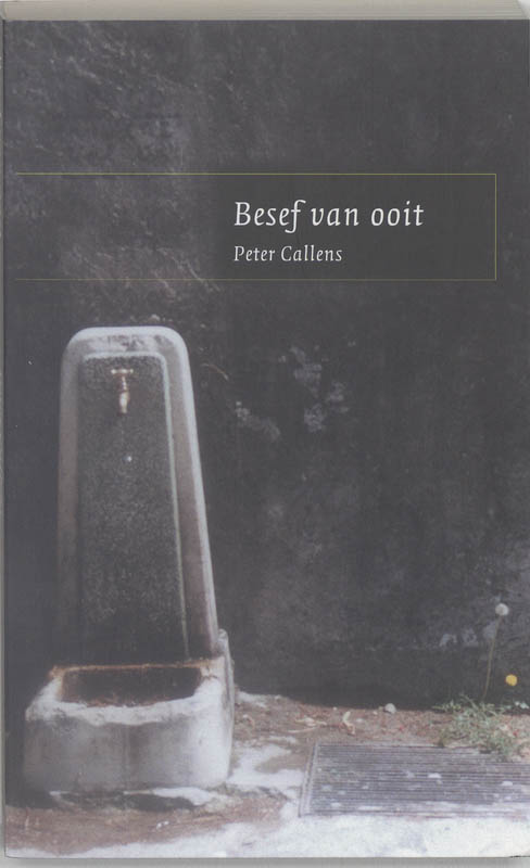 Omslag van Besef van ooit