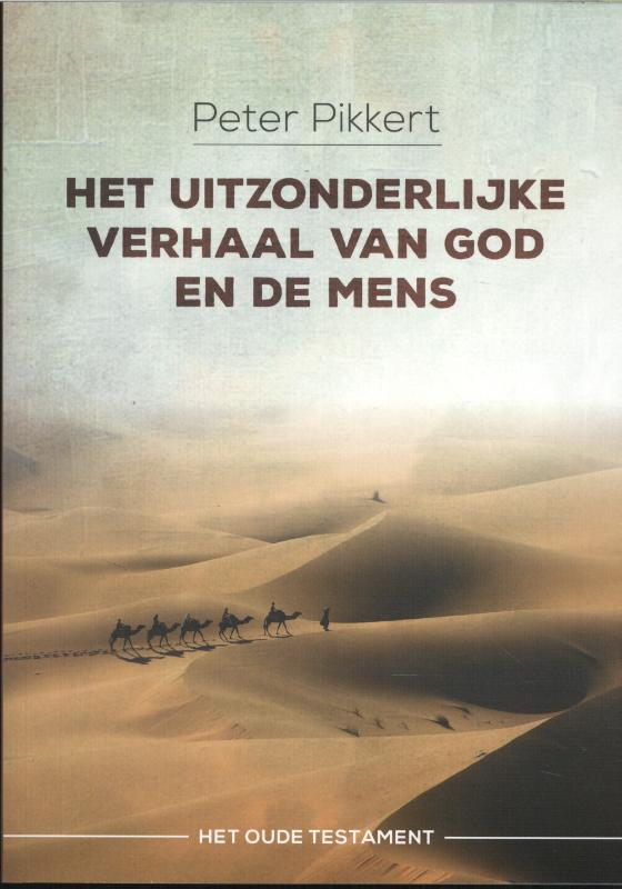 Omslag van Het uitzonderlijke verhaal van God en de mens