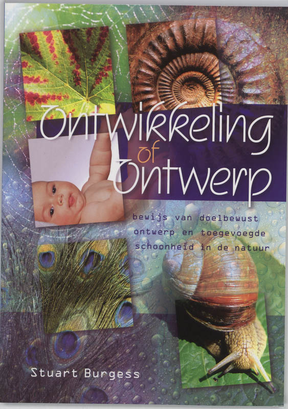 Omslag van Ontwikkeling of ontwerp