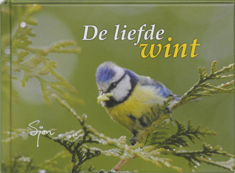 Omslag van De liefde wint
