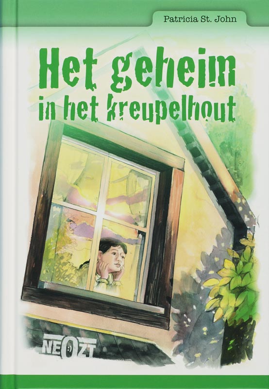 Omslag van Het geheim in het kreupelhout
