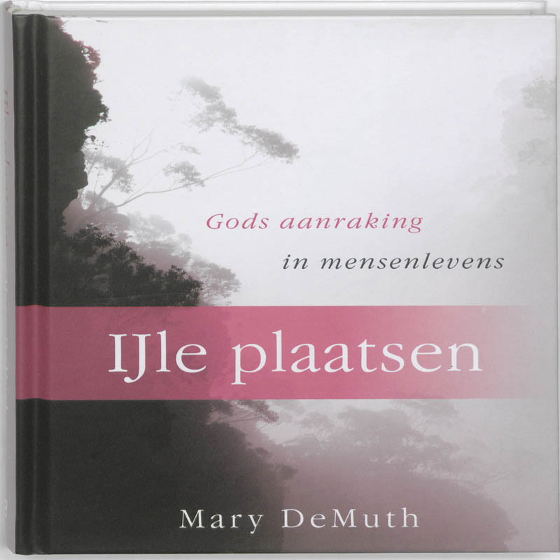 Omslag van IJle plaatsen