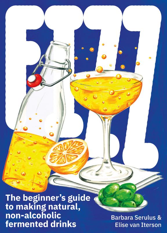 Omslag van Fizz