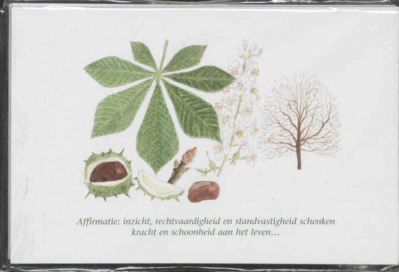 Omslag van Wenskaarten 6 ex