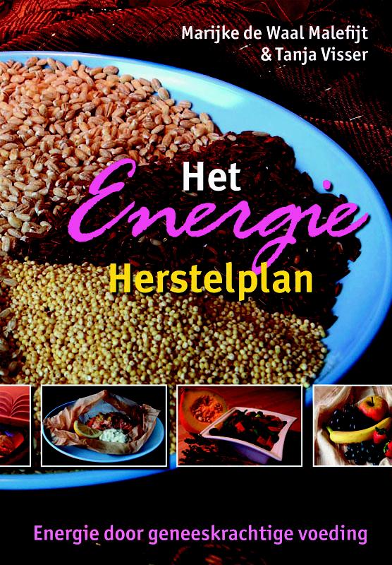 Omslag van Het Energie Herstelplan