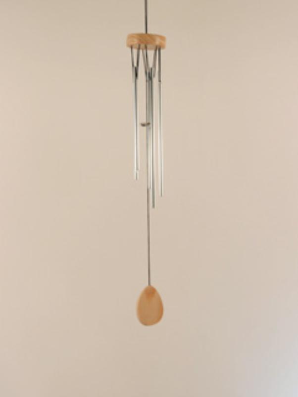 Omslag van Windgong 15 cm