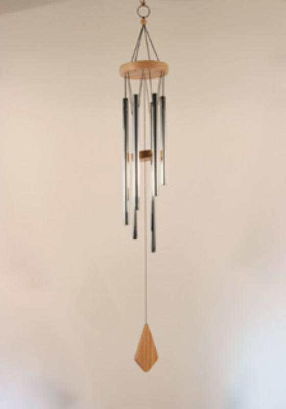 Omslag van Windgong 30 cm