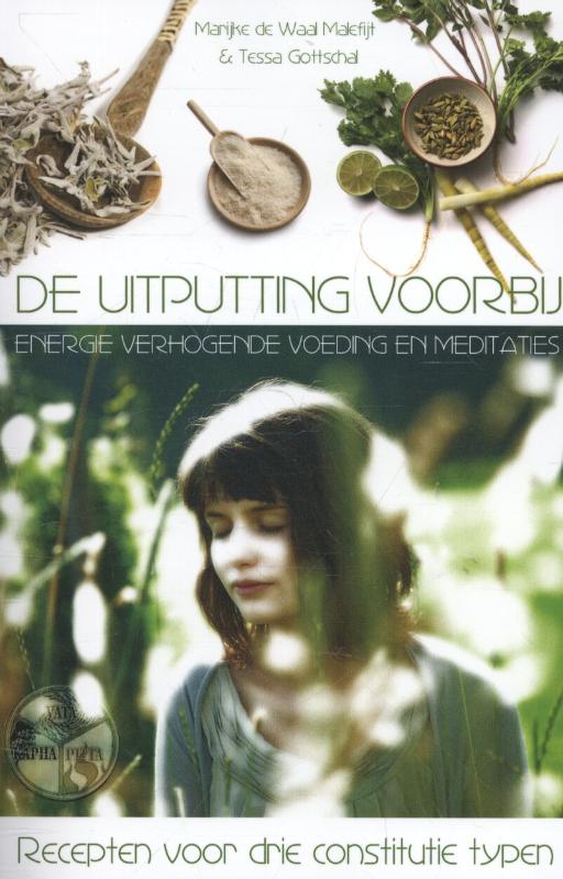 Omslag van De uitputting voorbij