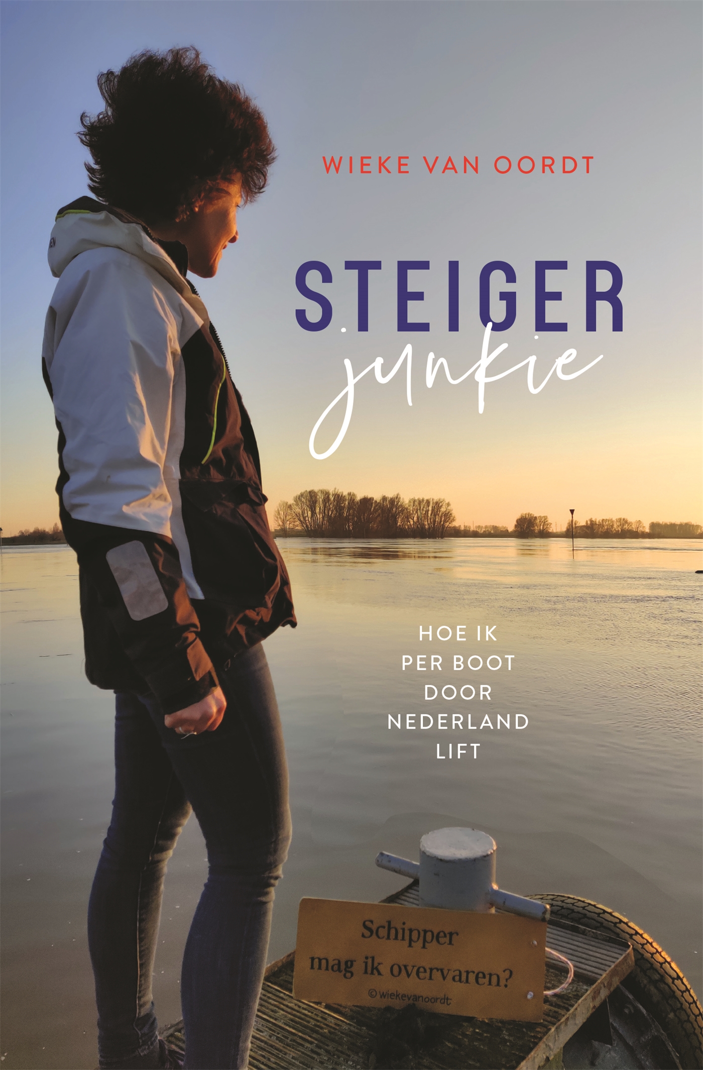 Omslag van Steigerjunkie