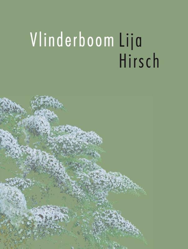 Omslag van Vlinderboom