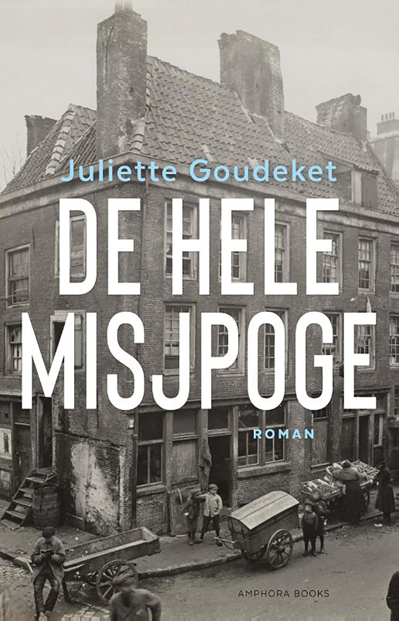 Omslag van De hele misjpoge. De geschiedenis van de familie Goudeket