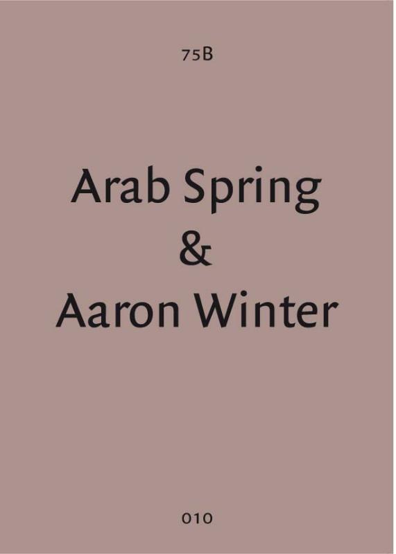 Omslag van Arab Spring & Aaron Winter (Dutch edition)