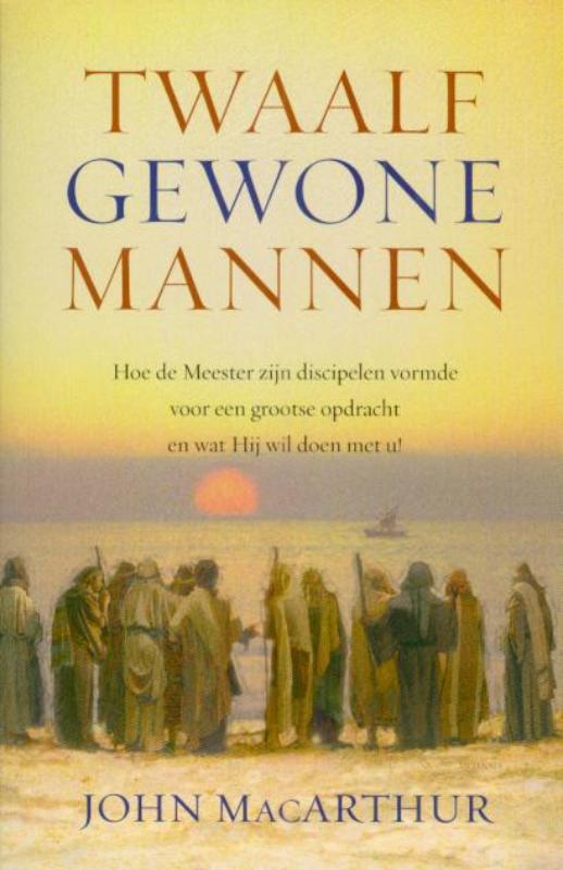 Omslag van Twaalf gewone mannen