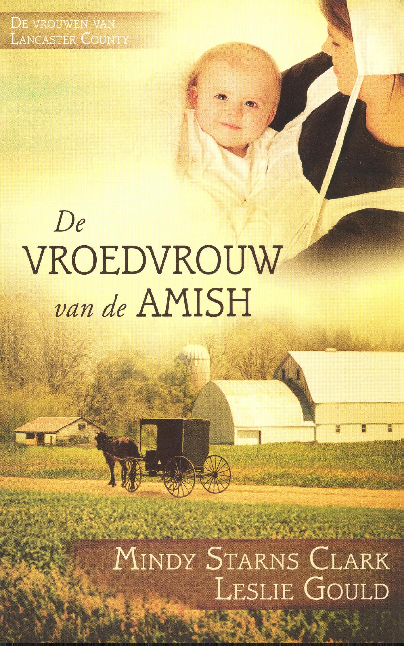 Omslag van De vroedvrouw van de Amish