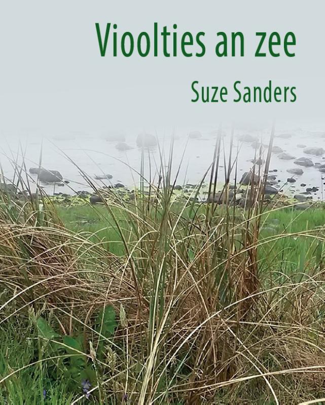 Omslag van Vioolties an zee