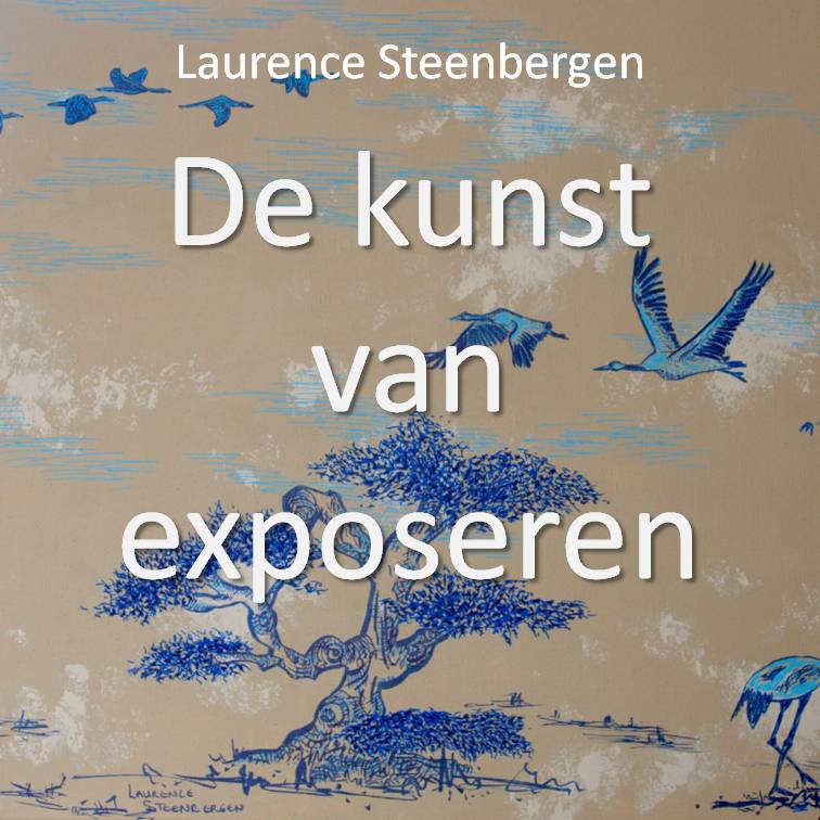 Omslag van De kunst van exposeren