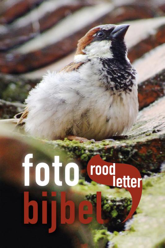 Omslag van Fotobijbel
