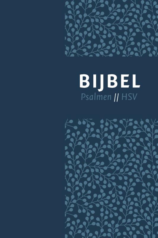 Omslag van Bijbel (HSV) met psalmen - blauw leer met zilversnee en duimgrepen