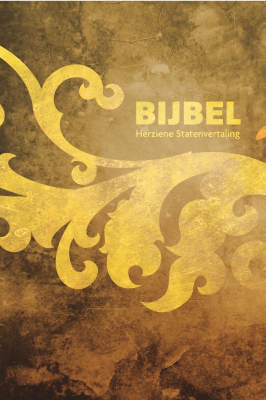 Omslag van Bijbel (HSV) - foam bruin geel