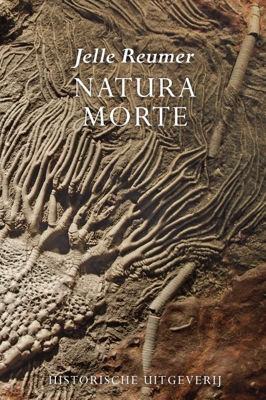 Omslag van Natura morte