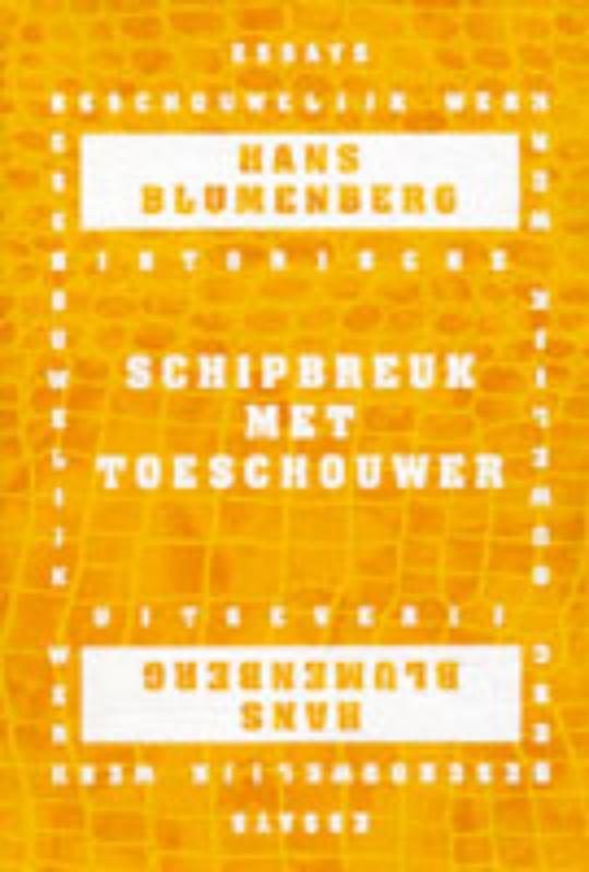Omslag van Schipbreuk met toeschouwer