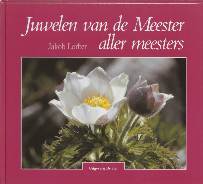 Omslag van Juwelen van de Meester aller meesters