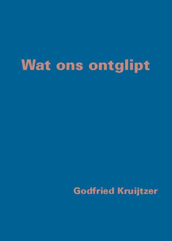 Omslag van Wat ons ontglipt