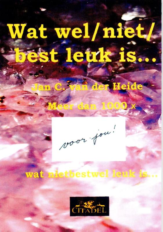 Omslag van Wat wel/ niet/ best leuk is...