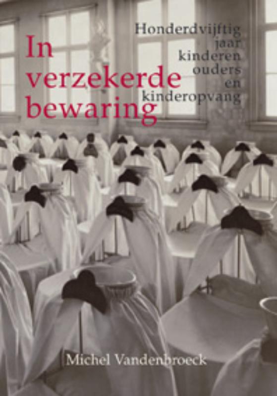 Omslag van In verzekerde bewaring