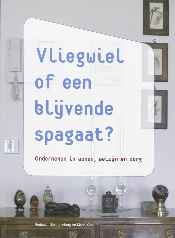 Omslag van Vliegwiel of een blijvende spagaat?
